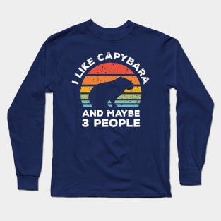 I Like Capybara and Maybe 3 People, Retro Vintage Sunset with Style Old Grainy Grunge Texture Long Sleeve T-Shirt